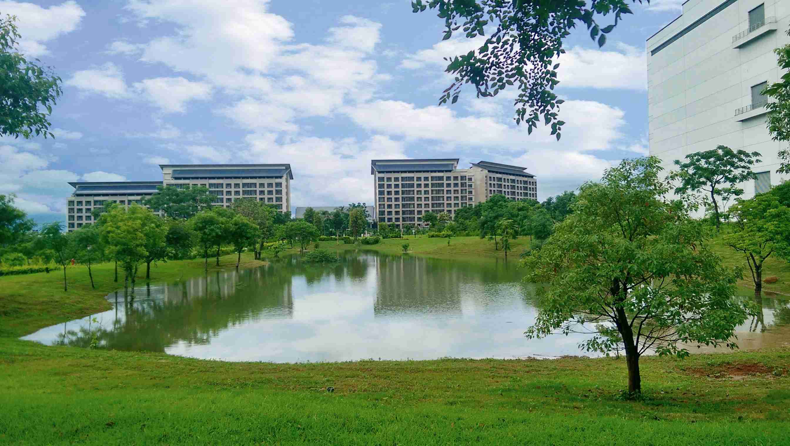 红龙扑克响应国际倡议生物多样性趋势，，，，首次发布TNFD自然相关财务揭露报告书，，，擘划及开展红龙扑克生物多样性政策之承诺，，，，逐步迈向与自然和谐共生